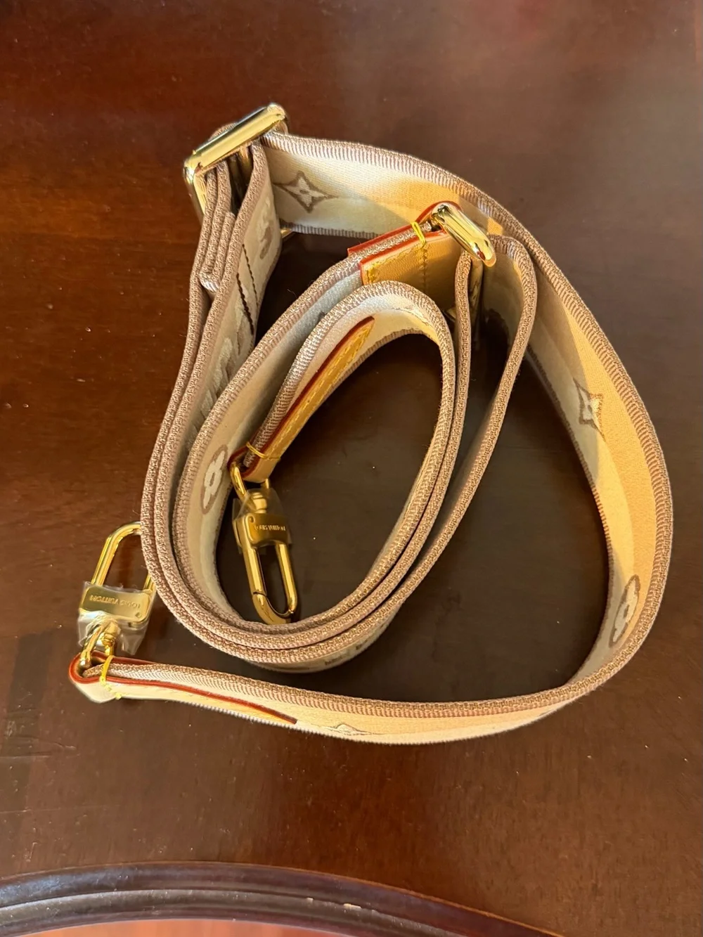 Louis Vuitton elegant lv